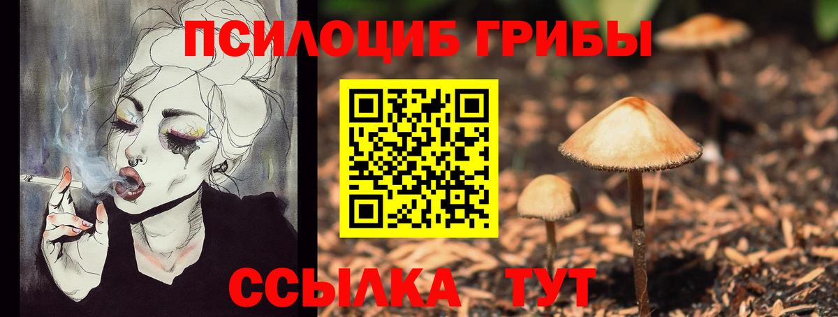 Рязань  Псилоцибиновые грибы мицелий  Вход с VPN  Галлюциногенные грибы Cubensis 